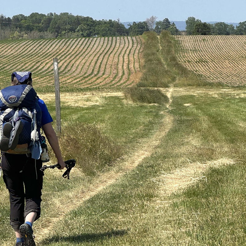 The author hiking through a plowed field of corn, as seen from the back.